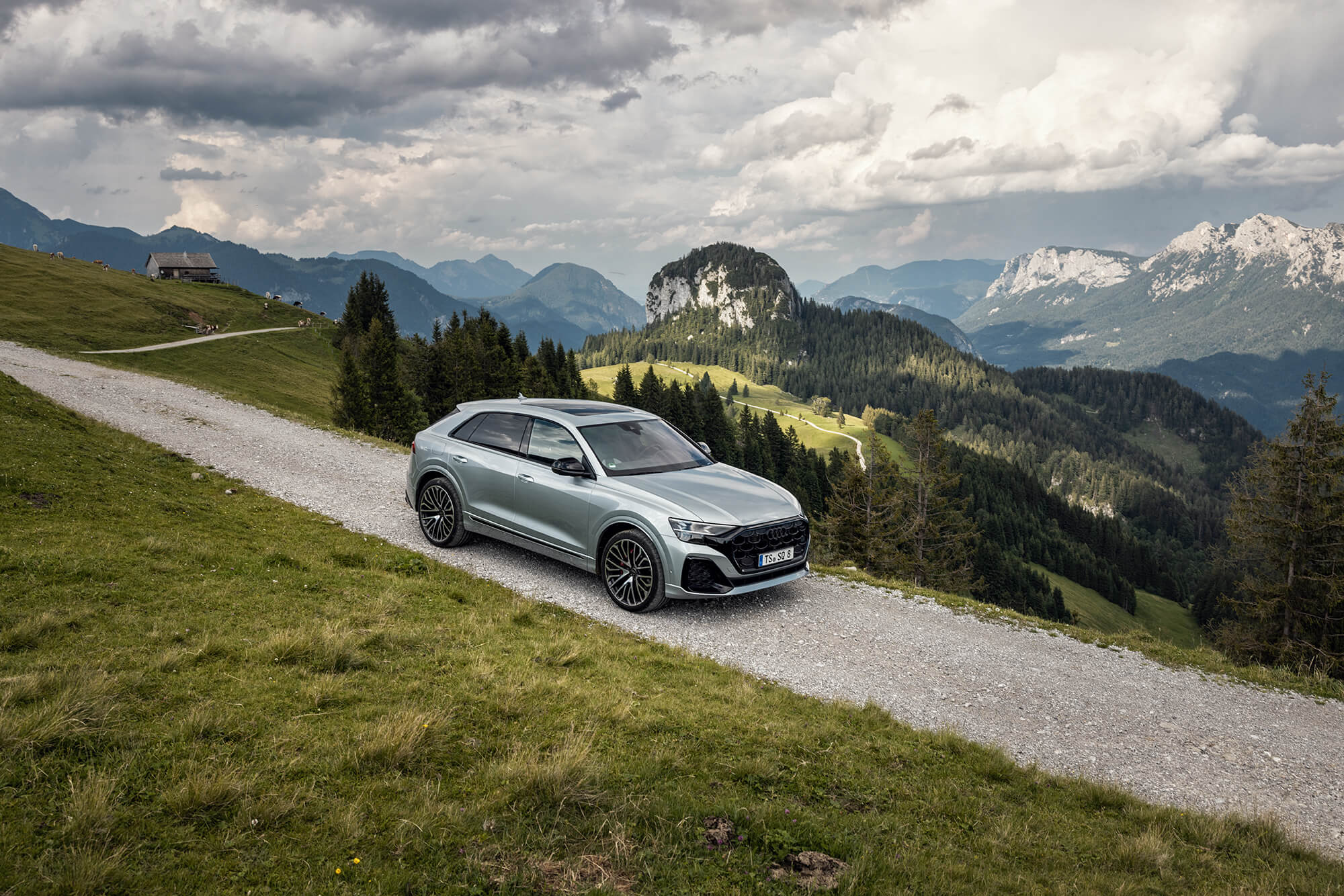 Audi-SQ8_3E5A4989